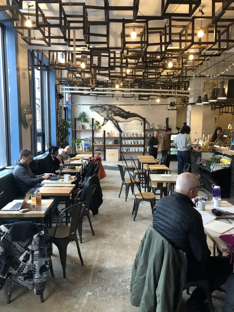 Muurprint van een walvis in een café-interieur